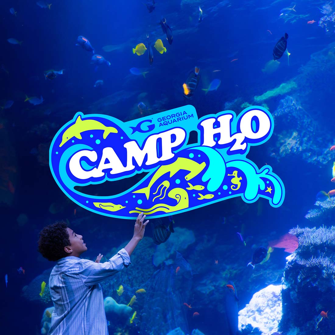 Georgia Aquarium