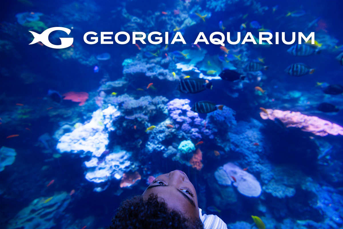Colorful coral reef scene with fish swimming inside Georgia Aquarium’s underwater habitat.