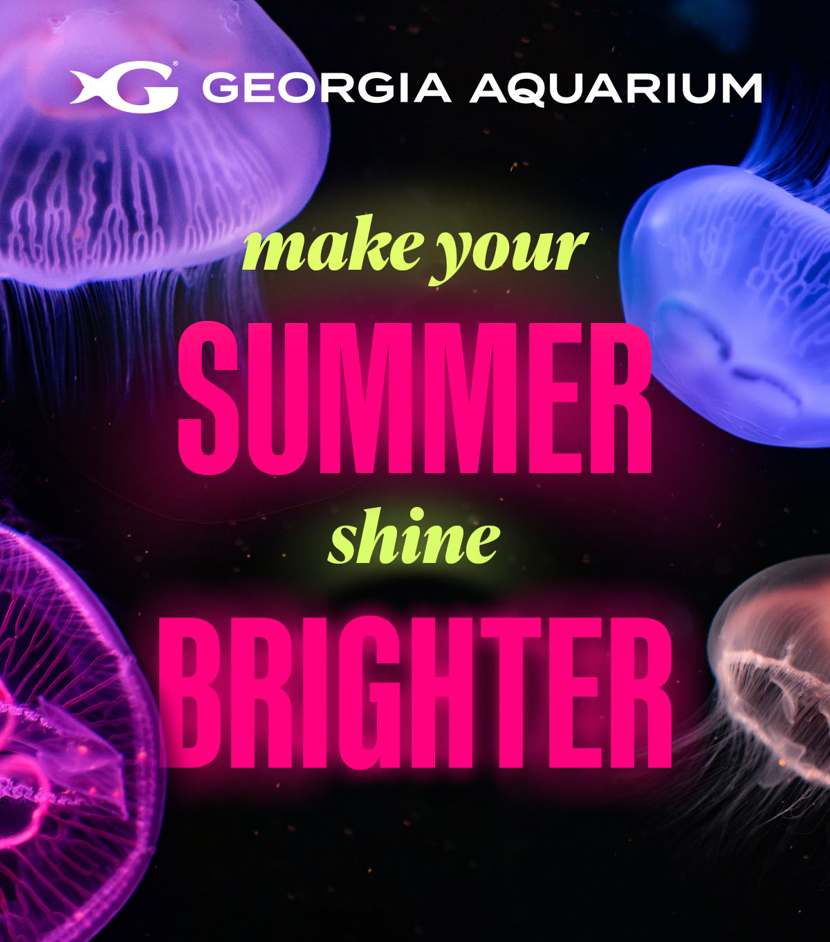 Make your summer shine brighter — Georgia Aquarium Glow Nights