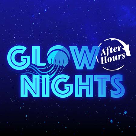 Glow Nights After Hours logo with neon lighting on a dark background