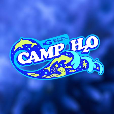 Camp H2O logo with ocean wave design on a blue background