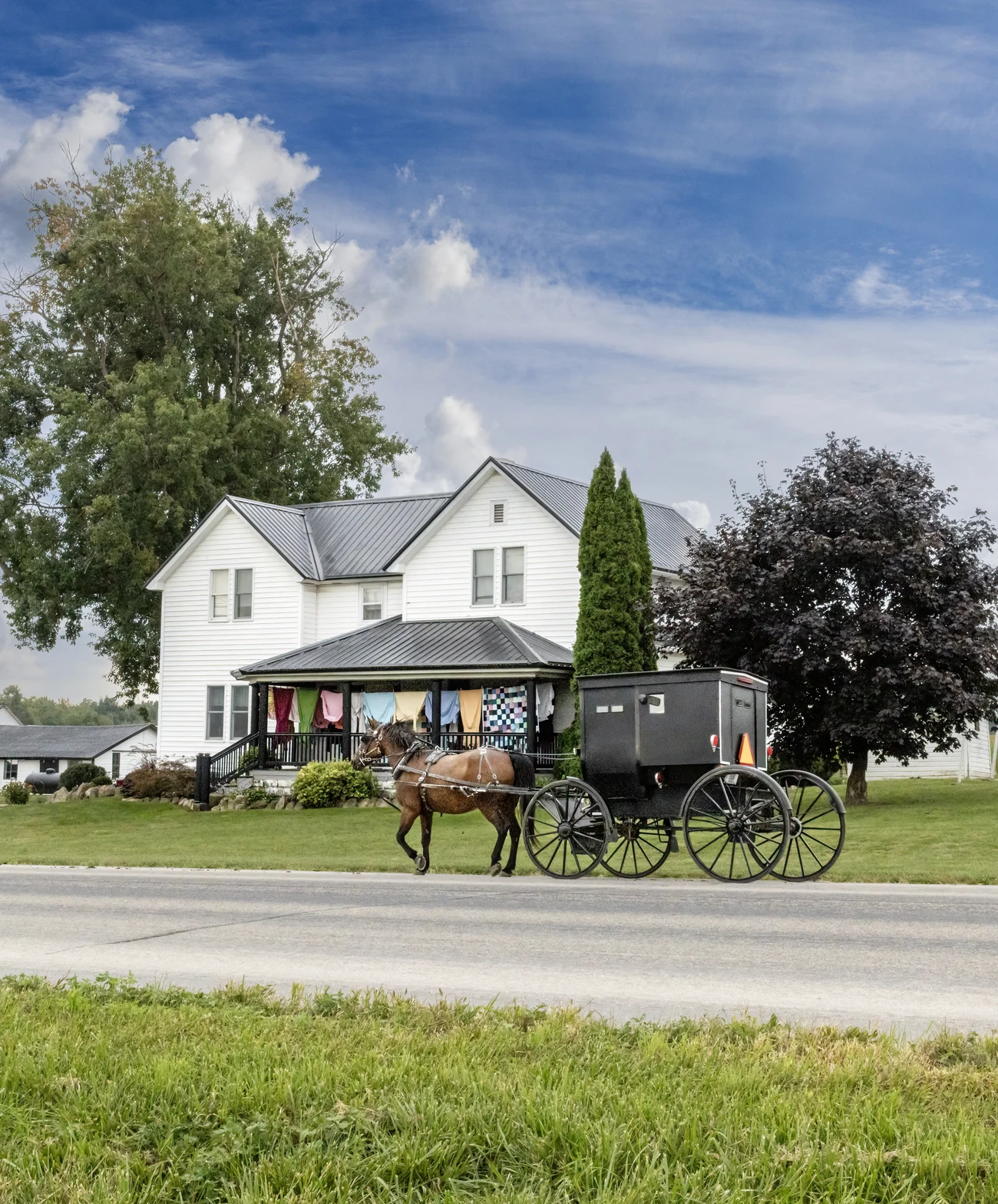 Horse hooked to carriage in Shipshewana