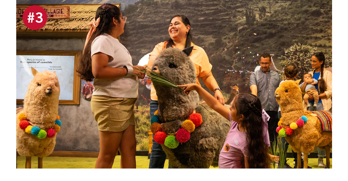 Take Me There Peru Opening
