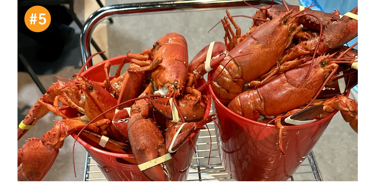 Lobster Palooza at Basile Opera Center