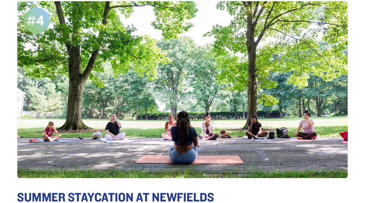 Summer Staycation at Newfields