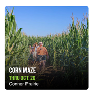 Corn Maze