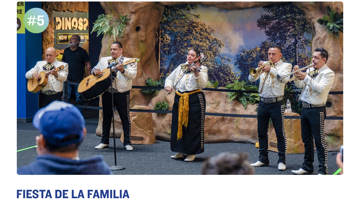 Fiesta de la Familia