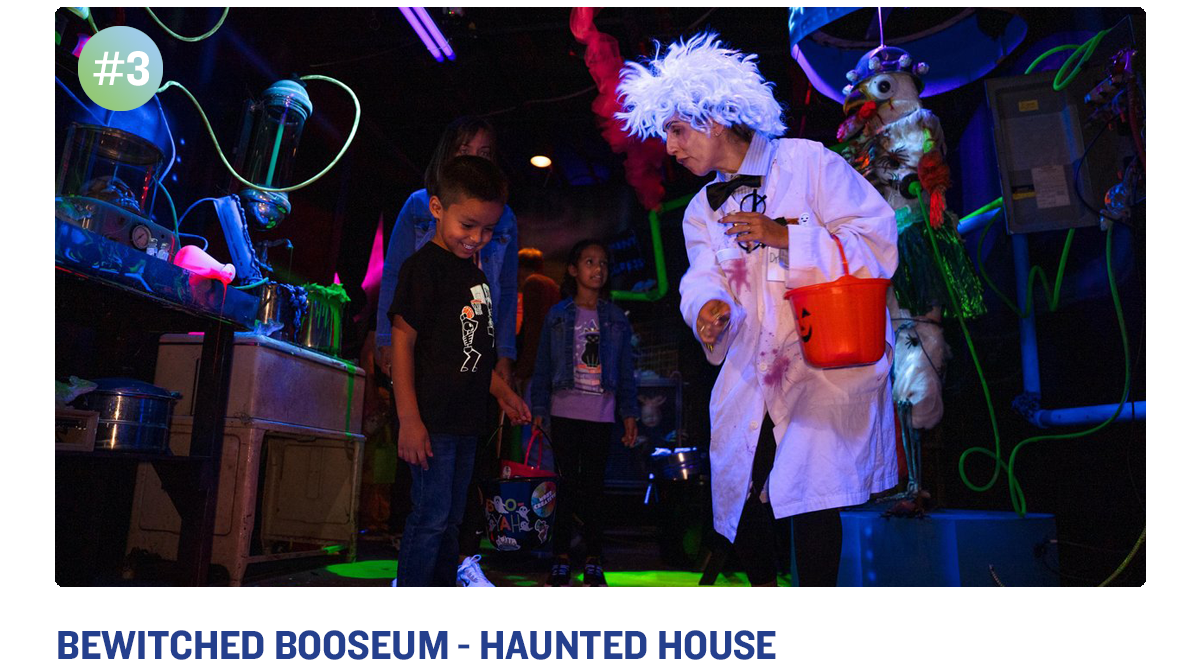 Bewitched Booseum - Haunted House