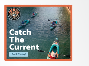 Wheel Fun Rentals - Catch the Current - Book Today
