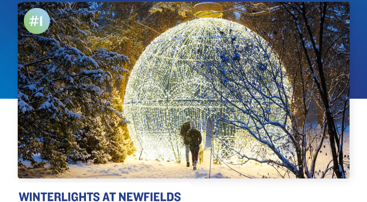 Winterlights at Newfields