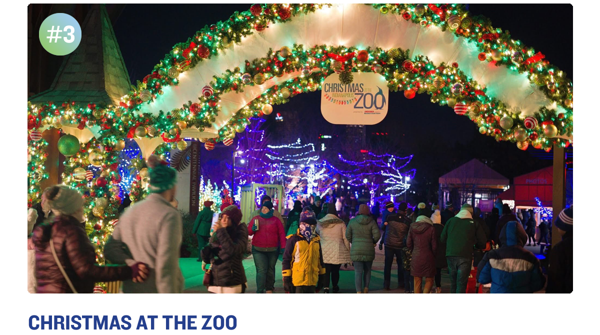 Christmas at the Zoo