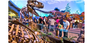 Children's Museum of Indianapoils