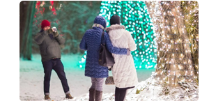 Winterlights