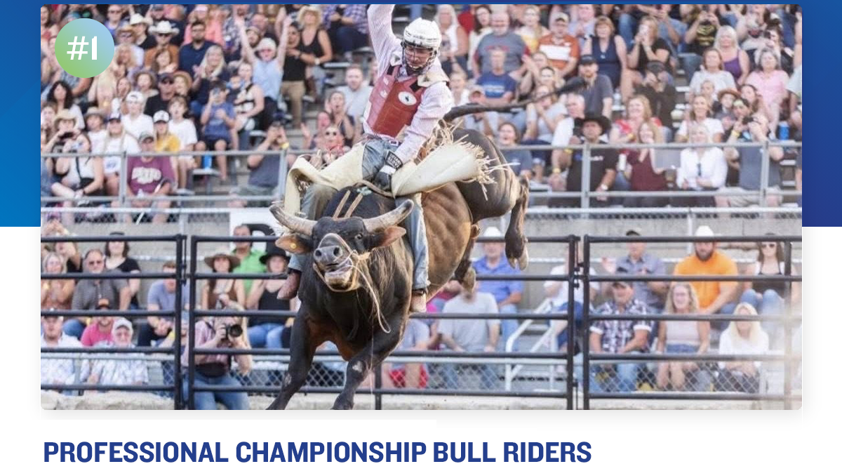 Professional Championship Bull Riders