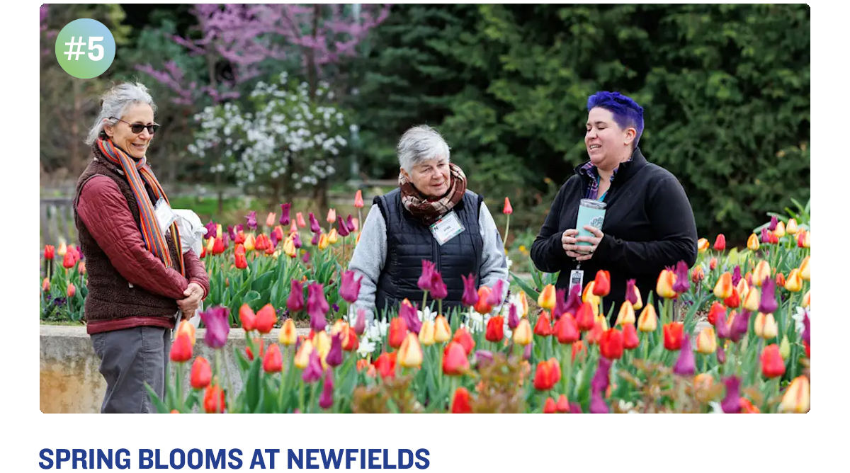 Spring Blooms at Newfields