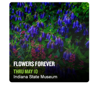 Flowers Forever