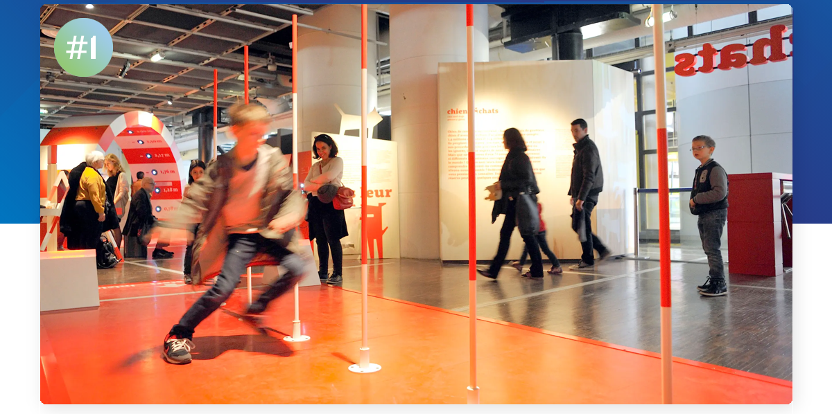 Cats & Dogs - The Exhibition
