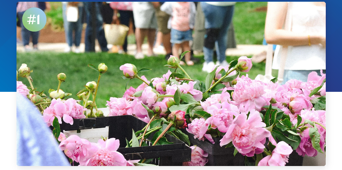 Indiana Peony Festival