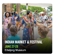 Indian Market & Festival