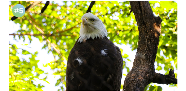 Freedom to Explore - $17.76 Admission