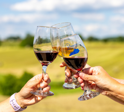 vineyard