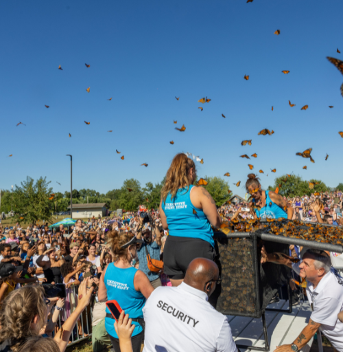 Live butterfly release into the crowd.