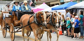 horses