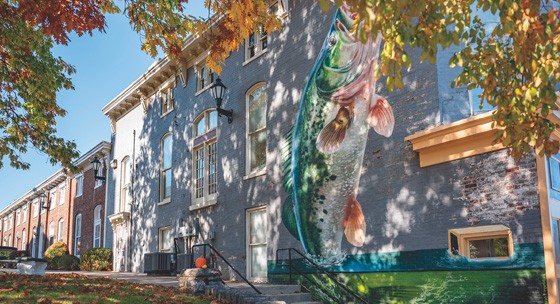 Color Murals as Fall Arrives in Jessamine Co.	