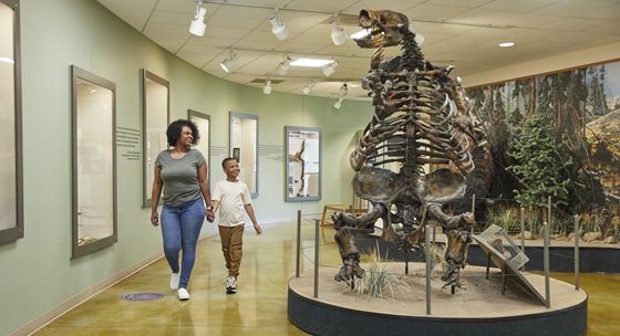 big bone lick state historic site