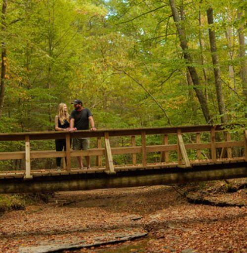 Couple standing on a wooden bridge surrounded by forest trees.