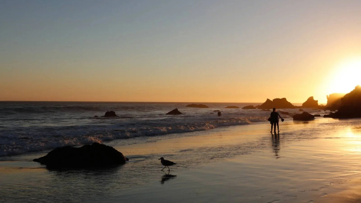 Best Beaches