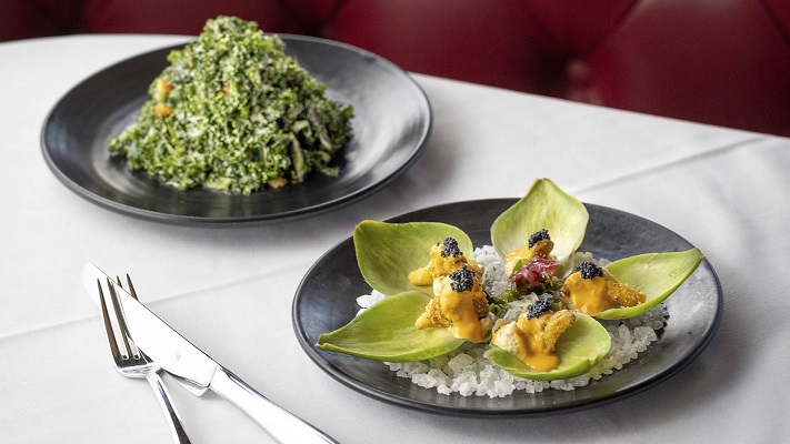 Vegan Restaurants