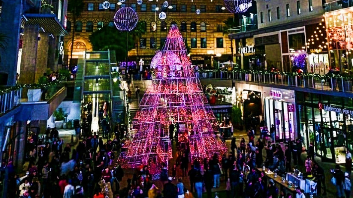 Holiday Lights