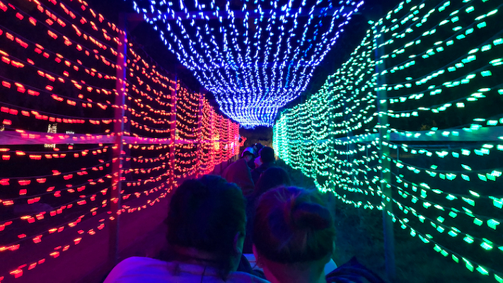 Holiday Light Festival