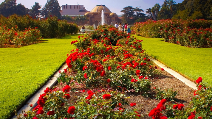 garden