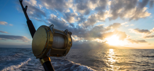 A closeup shot of a fishing rod.
