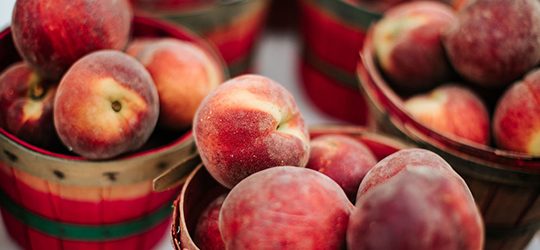 A closeup shot of baskets of peaches at the Louisiana Peach Festival.