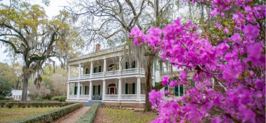 An image of Rosedown Plantation State Historic Site.