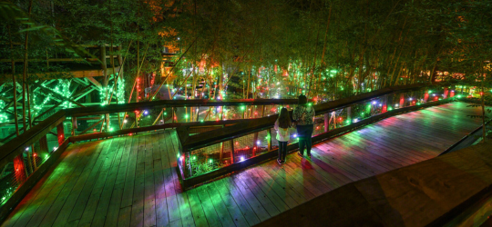 A woman and young girl explore the Holiday Trail of Lights in Alexandria.