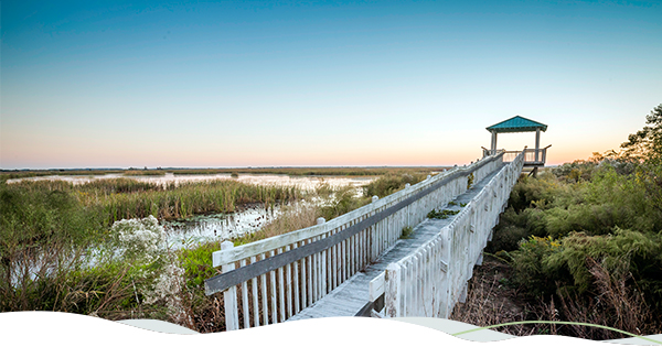 Boardwalk on the beach