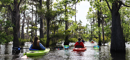 Kayakers paddle in Monroe.
