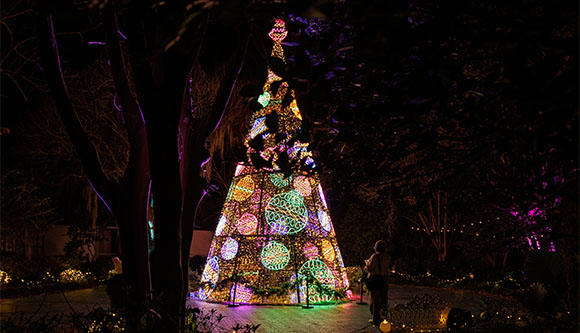 A person admires a towering Christmas tree made of colorful glowing lights in a garden at night