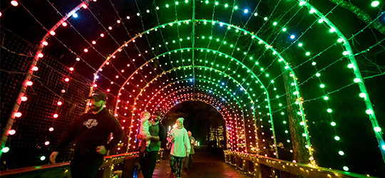 A family walks through an arched walkway of red and green Christmas lights.