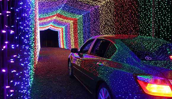 A car drives through a tunnel of colorful Christmas lights.