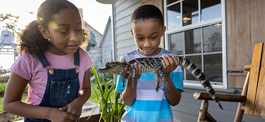 Children hold a baby alligator.