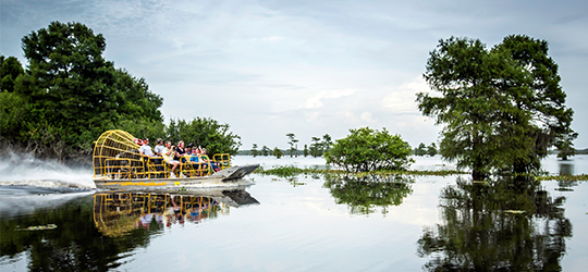 An airboat crosses the Atchafalaya Basin.