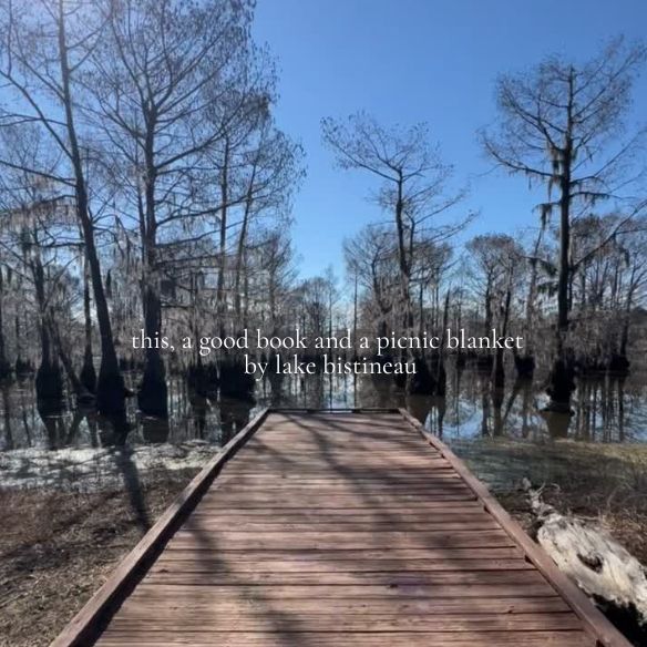 A view of Lake Bistineau.