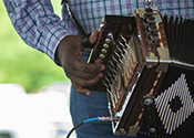 A musician plays an accordion.