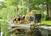 A yellow airboat travels through a Louisiana swamp.