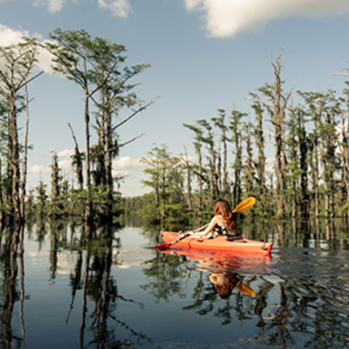 A person paddles a lake in Monroe, Louisiana.